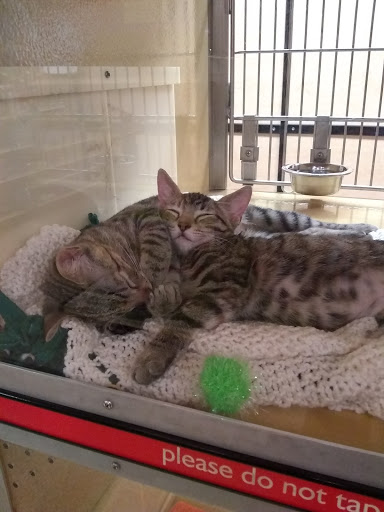 Pet Supply Store «PetSmart», reviews and photos, 5801 Belleville Crossing St, Belleville, IL 62226, USA