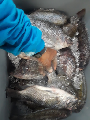 Supermarket «Mexican Supermarket Inc», reviews and photos, 2099 W Atlantic Blvd, Pompano Beach, FL 33069, USA