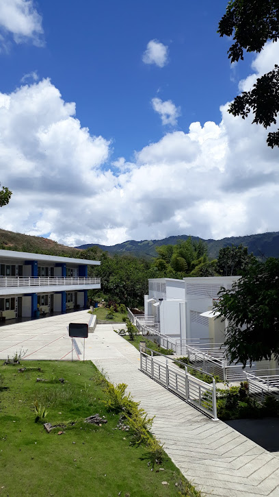 Institución Educativa Colegio Agustina Ferro
