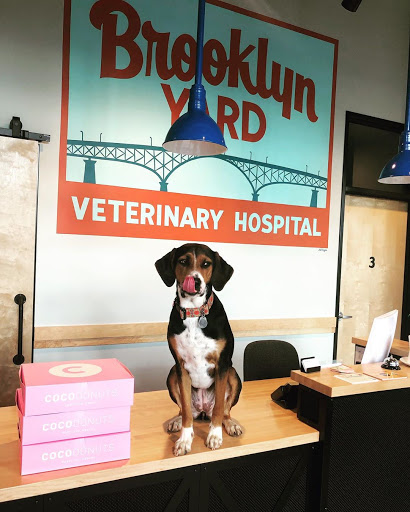 Brooklyn Yard Veterinary Hospital