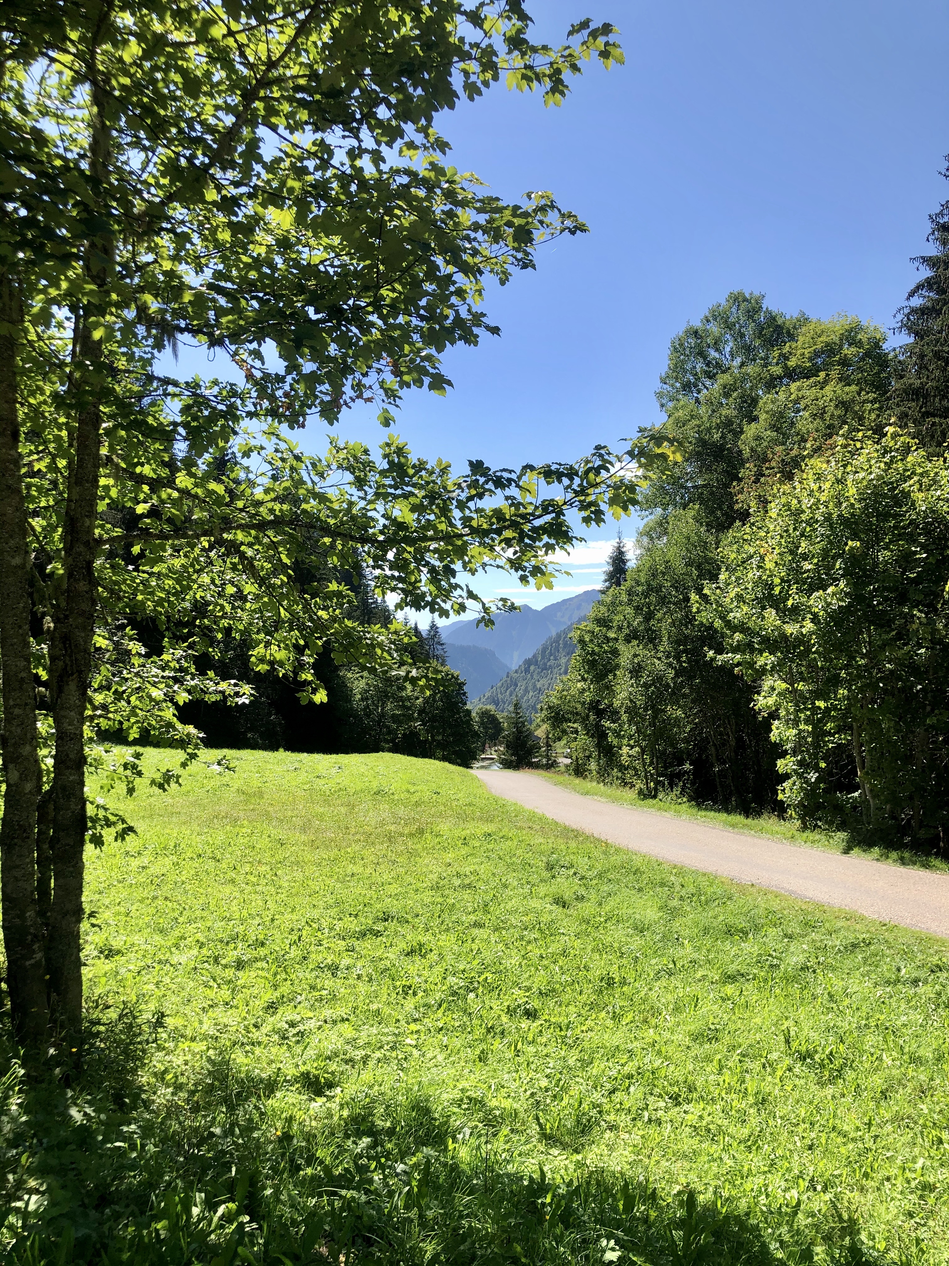 Photo n° 3 de l'avis de Sophie.b fait le 29/11/2021 à 19:01