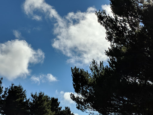 Golf Course «Ocean Dunes Golf Course», reviews and photos, 15 Onadoone Ct, Florence, OR 97439, USA