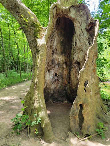 Nature Preserve «Sweet Arrow Reserve», reviews and photos, 789 Little Sugarcreek Rd, Sugarcreek Township, OH 45440, USA