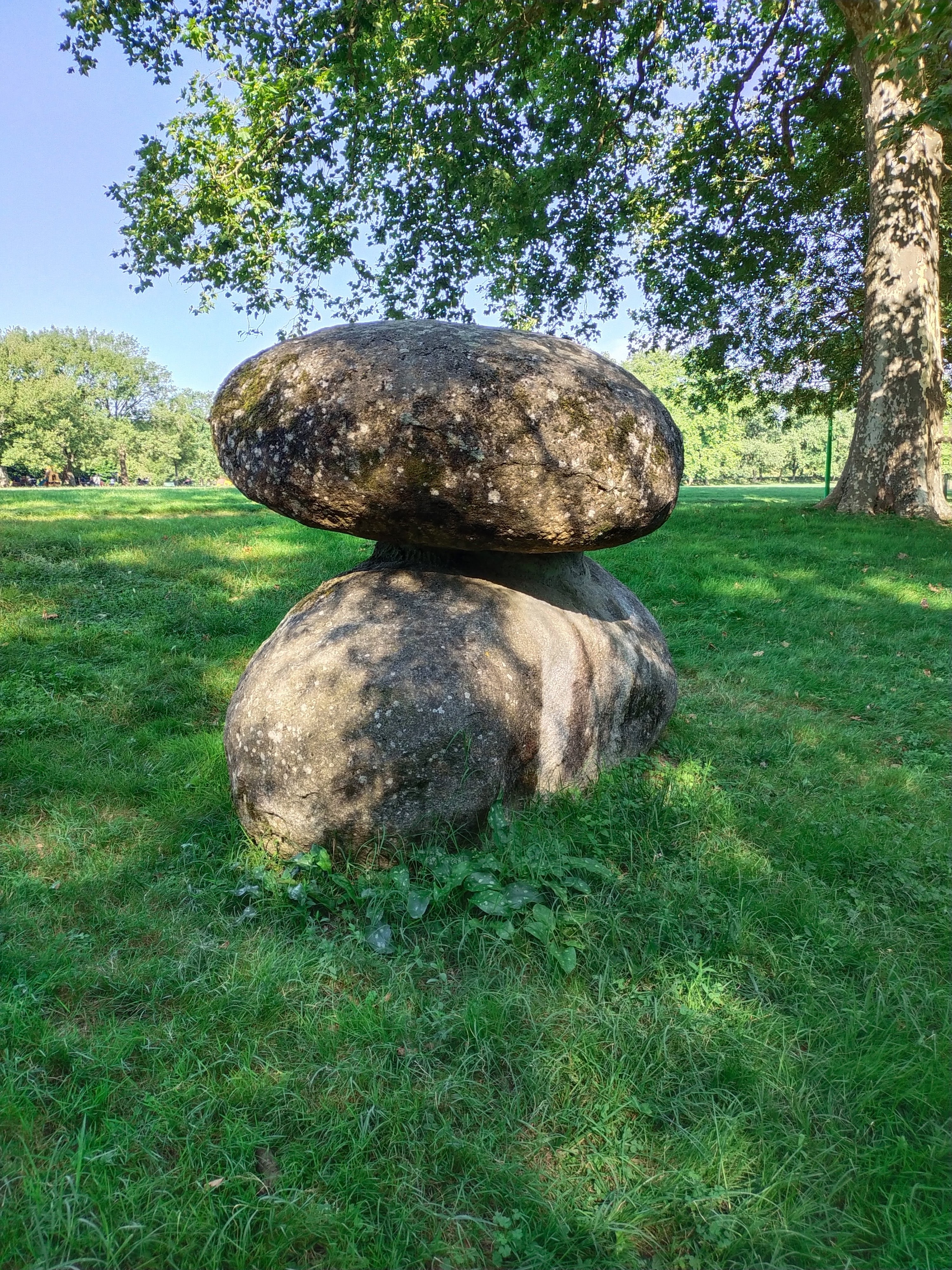 Photo n° 3 de l'avis de Mireille.a fait le 17/08/2021 à 14:38