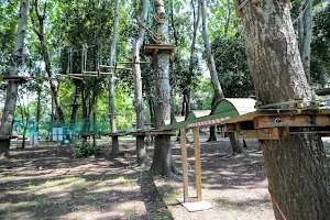 Apua Adventure Park image