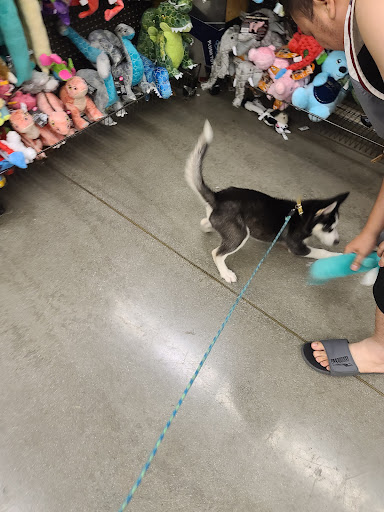 Pet Supply Store «Petco Animal Supplies», reviews and photos, 4663 Firestone Blvd, South Gate, CA 90280, USA