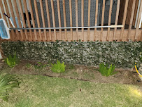 Coastal Wildlife Removal - Photo 9 - Car repair in , Pensacola