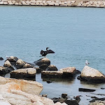 Photo n°4 de l'avis de eugenio.o fait le 07/11/2021 à 13:01 sur le  Da Renzina à Savelletri