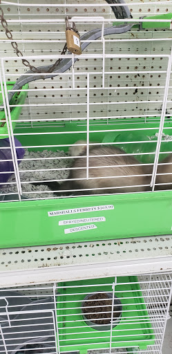 Shopping Mall «Hampton Plaza Shopping Center», reviews and photos, 4033 W Mercury Blvd, Hampton, VA 23666, USA