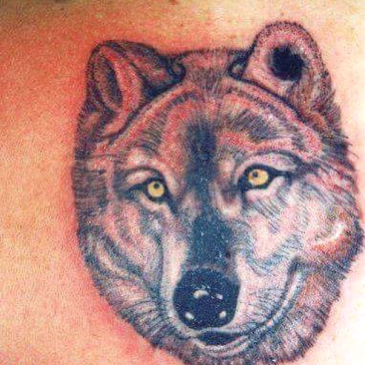 Explore tattoo ideas free spirit, creative tattoo ideas in Ottumwa, available at Family Tradition TattoosPiercings