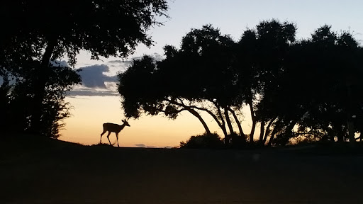 Golf Course «Highland Lakes Golf Course», reviews and photos, 20552 Highland Lake Dr, Lago Vista, TX 78645, USA