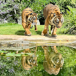 Photo n° 9 de l'avis de Fabien.e fait le 26/07/2023 à 17:52 pour Zoo de La Flèche à La Flèche