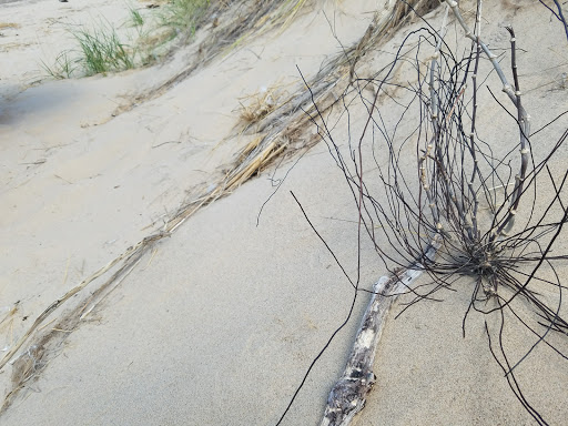 Country Club «Chikaming Country Club», reviews and photos, 15029 Lakeside Road, Lakeside, MI 49116, USA