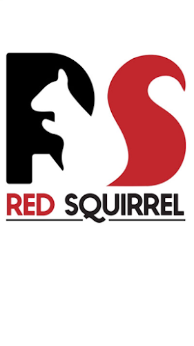 Reviews of Red Squirrel Property Maintenance Ltd in Liverpool - Real estate agency