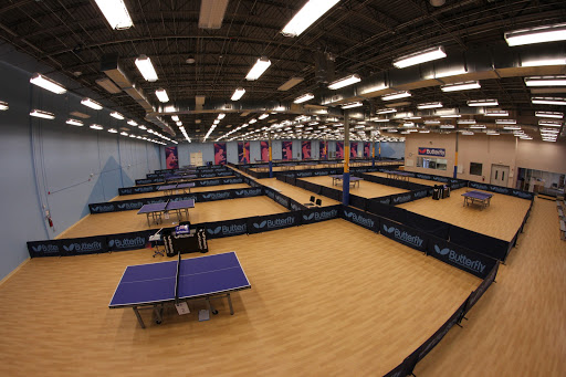 Triangle Badminton and Table Tennis