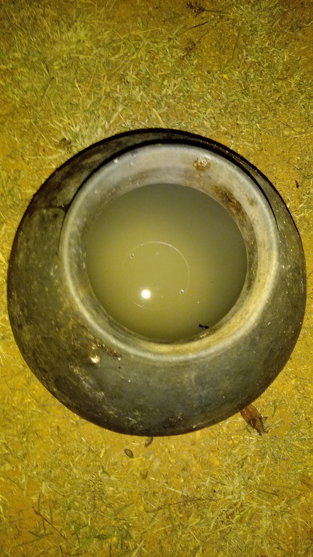 Amrutha Saagara