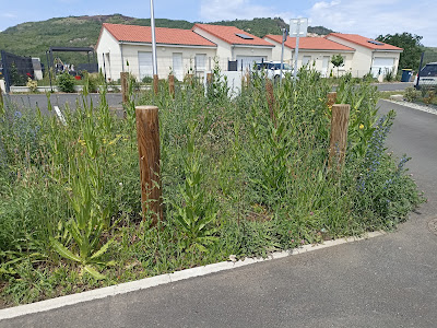 Tradimaisons à Cournon-d'Auvergne