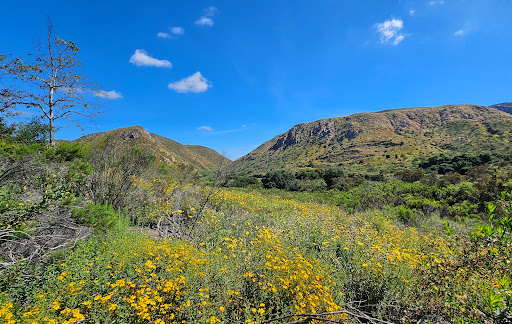 Visitor Center Loop Trailhead