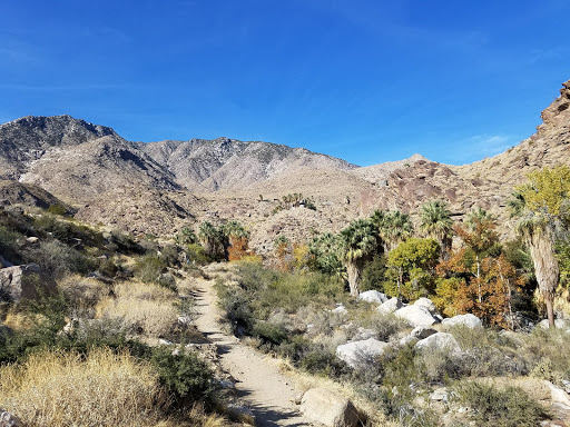 Tourist Attraction «Indian Canyons», reviews and photos, 38520 S Palm Canyon Dr, Palm Springs, CA 92264, USA