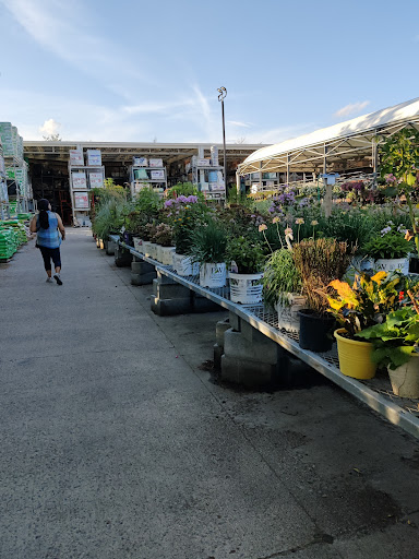 Home Improvement Store «The Home Depot», reviews and photos, 60 Stockwell Dr, Avon, MA 02322, USA