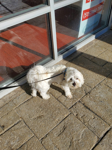 Pet Supply Store «Brown Dog Bakery», reviews and photos, 2310 SE Delaware Ave, Ankeny, IA 50021, USA