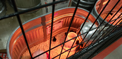 Home Improvement Store «Tractor Supply Co.», reviews and photos, 1530 S Main St, Boerne, TX 78006, USA