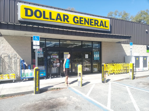 Home Goods Store «Dollar General», reviews and photos, 24951 Co Rd 42, Paisley, FL 32767, USA