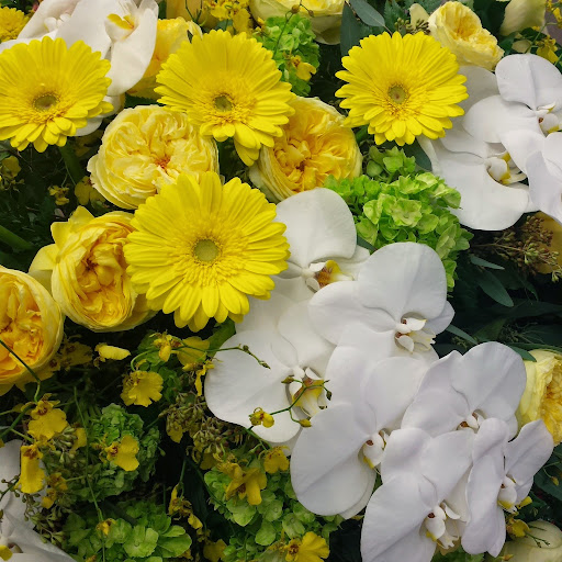 Florist «Exotic Flowers», reviews and photos, 609 American Legion Hwy, Boston, MA 02131, USA