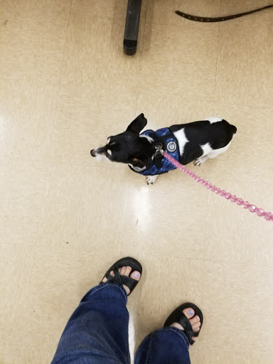 Pet Supply Store «Petco Animal Supplies», reviews and photos, 244 Pioneer Trail, Chaska, MN 55318, USA