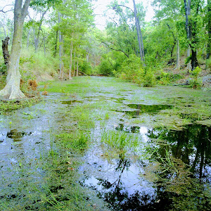 Bandhavgarh Tiger Reserve photo