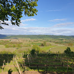 Photo n°1 de l'avis de Sven.e fait le 11/05/2019 à 07:50 sur le  Heubergturm / zum Heuberg à Ettenheim