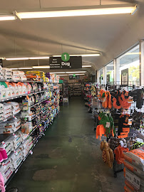 Pet Supplies Plus Stockton - Photo 3 - Car repair in Stockton, CA, Stockton