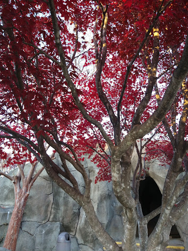 Amusement Park «Adventure Landing Raleigh», reviews and photos, 3311 Capital Blvd, Raleigh, NC 27604, USA