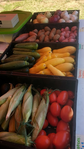 Flea Market «National Flea Market Lubbock», reviews and photos, 1808 Clovis Rd, Lubbock, TX 79415, USA