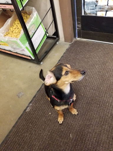 Pet Supply Store «Western Ranch & Pet Supply», reviews and photos, 103 Aegean Way, Vacaville, CA 95687, USA