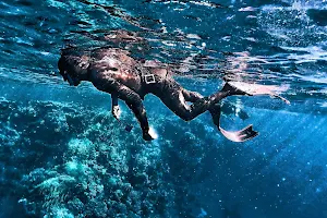 Blue Water Freediving School image