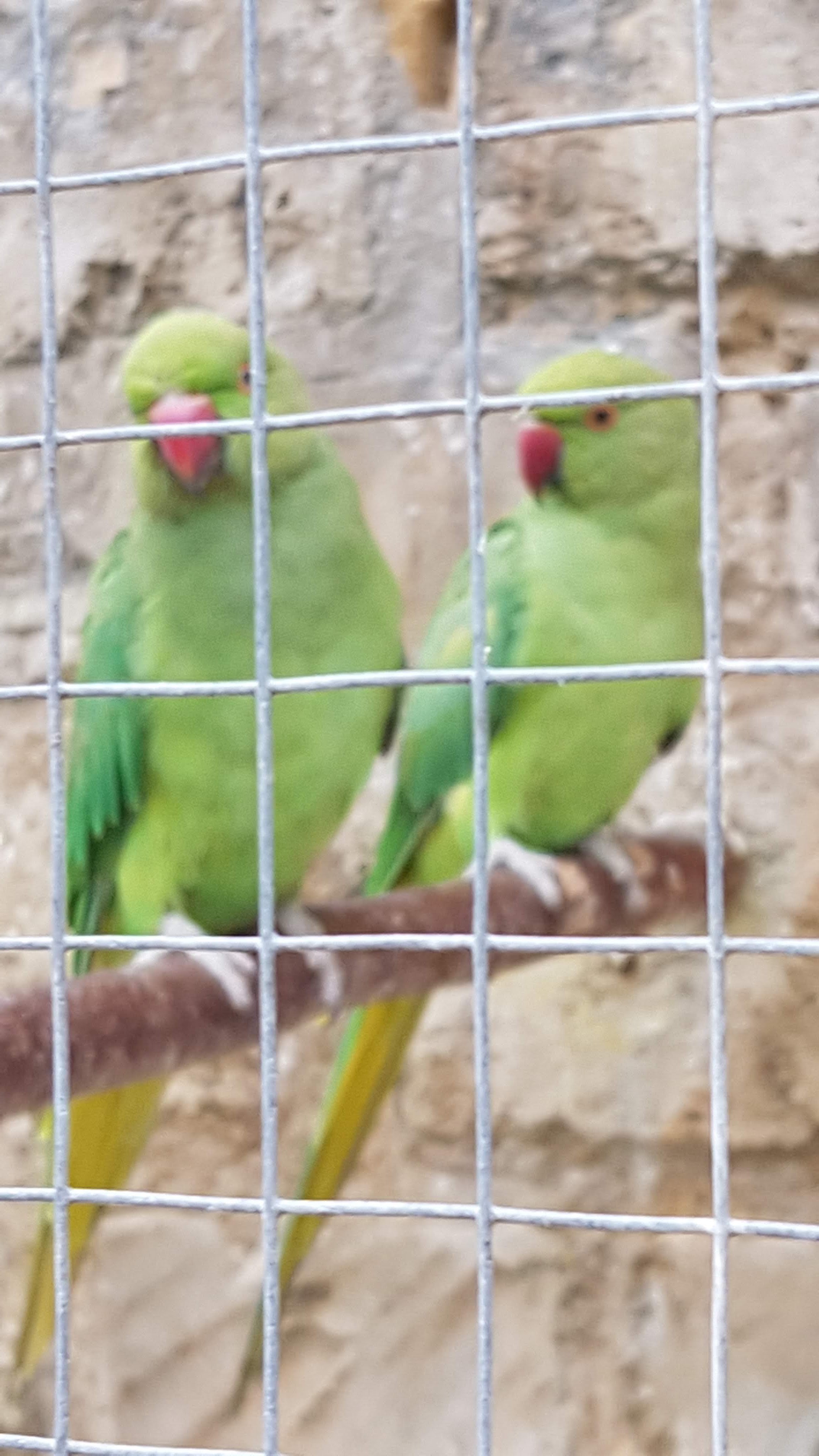 Photo n° 1 de l'avis de Jean-Pierre.l fait le 17/07/2018 à 09:39