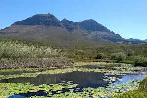 Helderberg Nature Reserve Entrance image