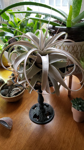 Gift Shop «Pondering Creations Farm», reviews and photos, 101 Allen St, Terryville, CT 06786, USA