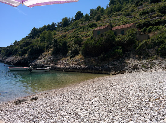 Pavja Luka
