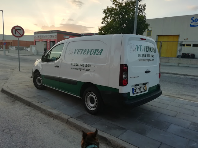 Vetevora - Centro Veterinario / Clínica veterinaria