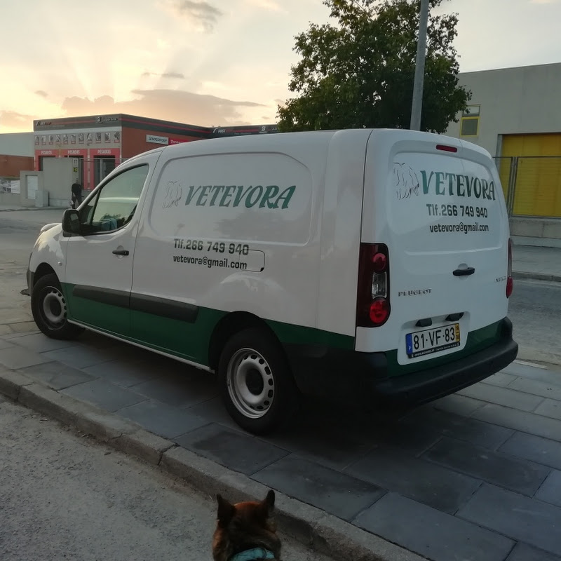 Vetevora-Centro Veterinario/clinica veterinaria
