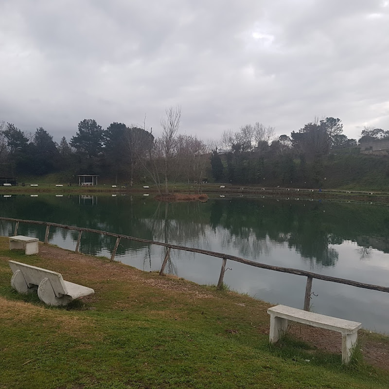 laghi verde oasi