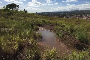 Parque das Nascentes image