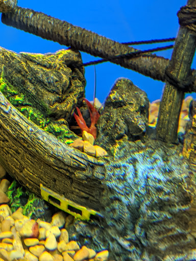 Pet Supply Store «Pet Supplies Plus», reviews and photos, 220 Market Dr, Elyria, OH 44035, USA