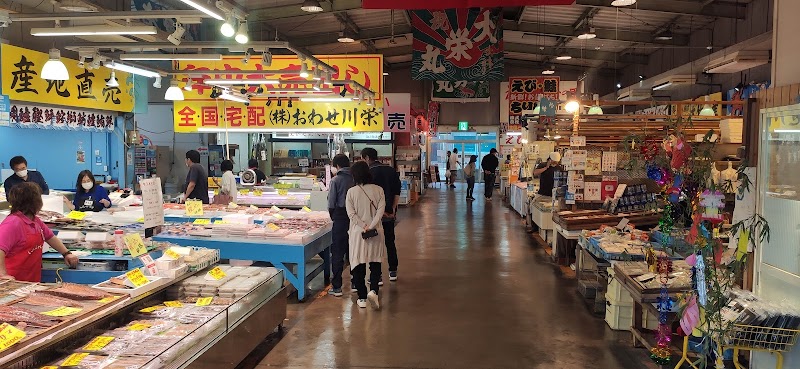 豊浜漁協魚市場