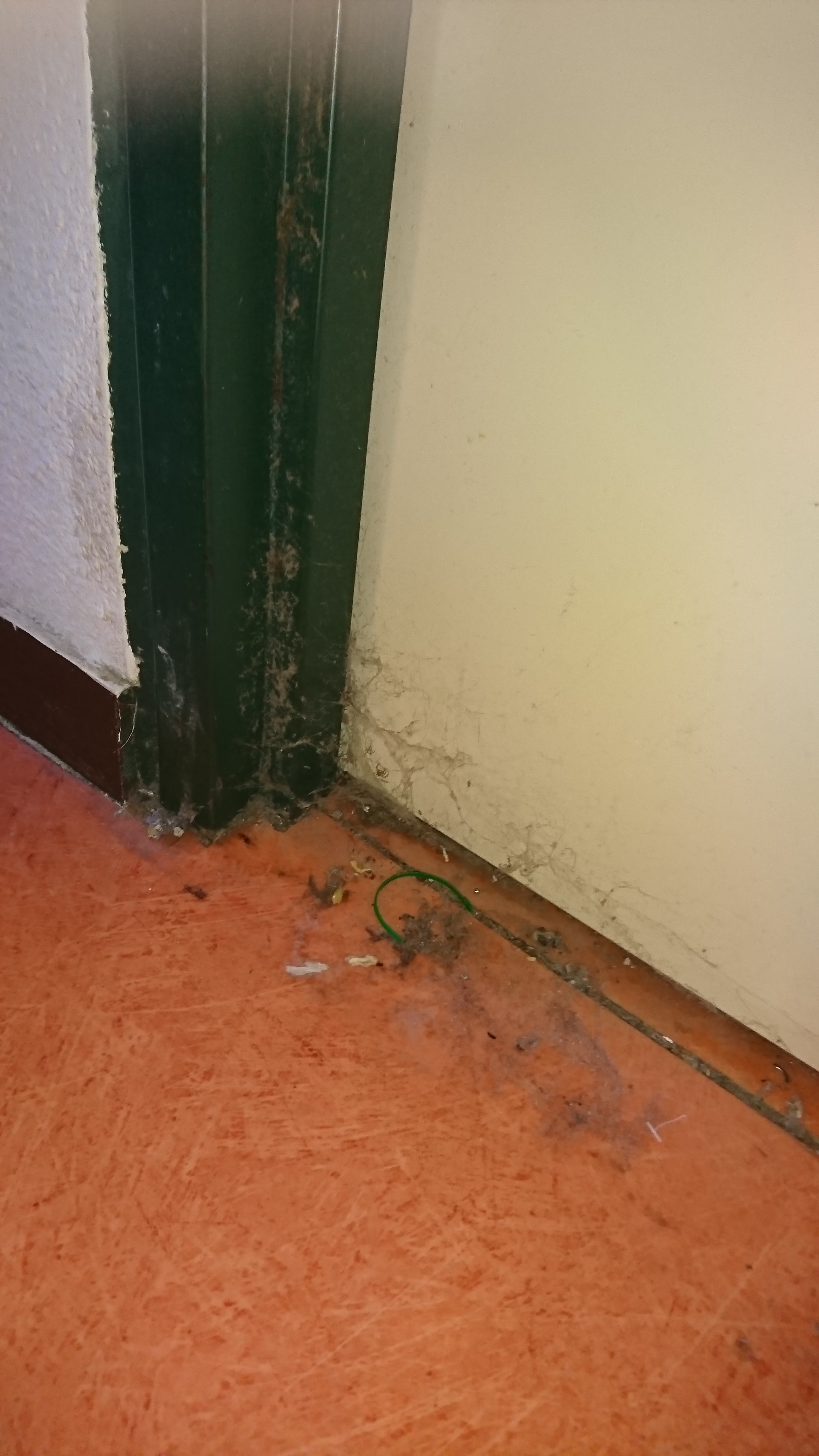 Photo n° 2 de l'avis de sylvain.n fait le 12/11/2018 à 09:51