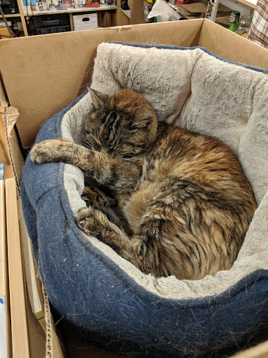 Book Store «Half Price Books», reviews and photos, 2036 Shattuck Ave, Berkeley, CA 94704, USA