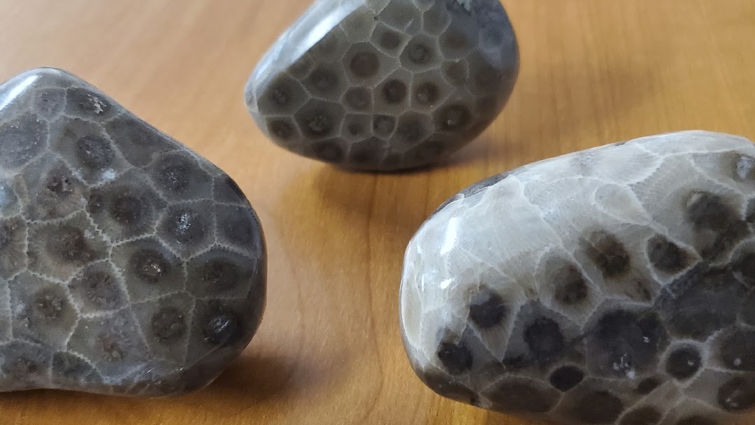Petoskey Stone Hardware