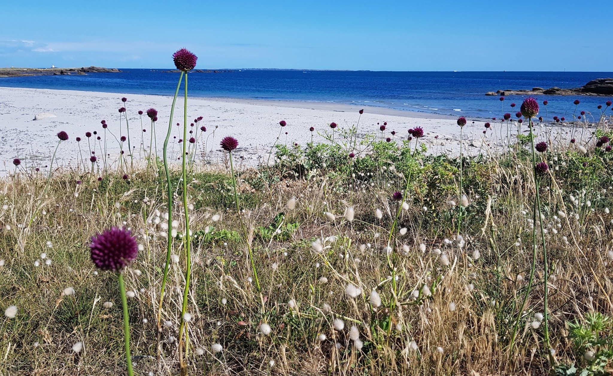 Photo n° 1 de l'avis de Michelle.L fait le 14/07/2019 à 09:27